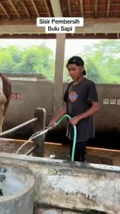 6 Putaran Sisir Pembersih Bulu Domba Kambing  / Sisir Sapi / Sisir Domba / Sisir Kuda