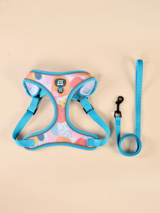 New Arrives Adjustable Soft Mesh With Fashionable Design Pet Harness And Leash Set