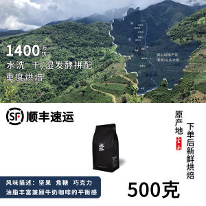 Dianlu Yunnan Small Bean Premium Coffee Beans Italian Blend Espresso Deep Roast 250/500g Rich Flavor Ideal for Various Brewing Methods