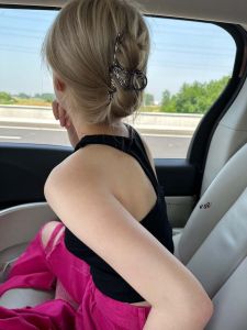 Terrible Confused ~ Niche Style Metal Wire-Shaped Grip Cold Feeling Minimalist Back Head Updo Shark Clip Hair Accessories