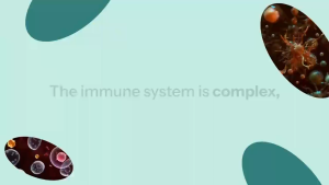 Kinoko Platinum AHCC Premium Immune Support with acetylated alpha-glucans 60 capsules 750 mg dietary supplement