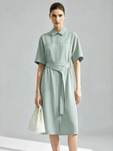 AMII | Commuter Style Turn-Down Collar Loose Belted Dress