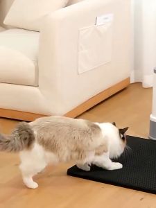 Cat Litter Mat EVA Double Layer Cat Litter Pad Bottom Non-slip Litter Box Mat Litter Trapper