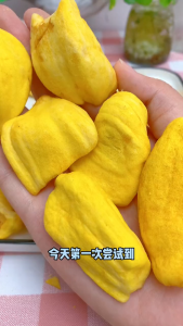 Freeze Dried Jackfruit Crispy 100g/200g Nangka Kering Beku Rangup 菠萝蜜脆冻干水果100g/200g