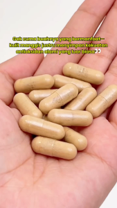 Sido Muncul Natural Herbal Sari Kulit Manggis Strip 12 Kapsul - Antioksidan