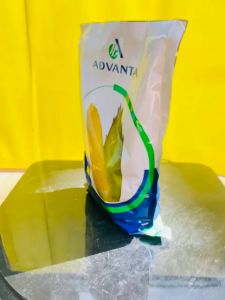 Benih Jagung Manis MADU-59 F1 dari ADVANTA kemasan 250gram