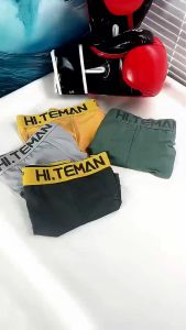 Mens Brief Underwear HITEMAN 5 PIECES L-3XL High Quality Underwear