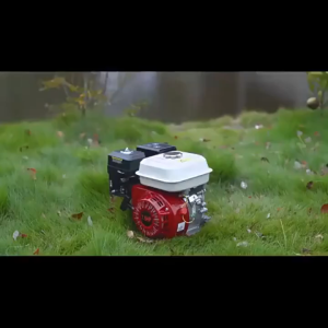 4-Stroke Gasoline Engine 7.5-9.5HP High Speed or Low Speed Marine Type Air Cooled Gasoline Engine Power