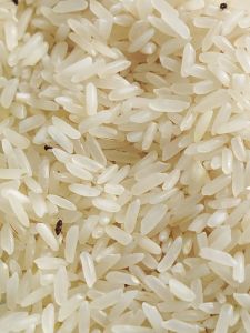 LODER ECOCO Kotak Penyimpanan Beras Rumah 10kg/5KG - Tong Beras Tertutup Kelembapan Kalis Serangga dengan Pendispensan Kuantitatif Home Rice Storage Box 10kg/5KG - Sealed Moisture Insect-Proof Rice Barrel with Quantitative Dispensing