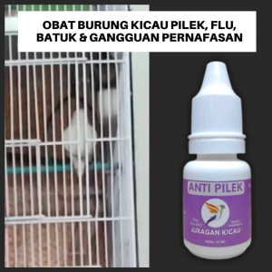 Obat Flu Burung Kicau Terkena Pilek Batuk Infeksi Tenggorokan Dan Pernafasan