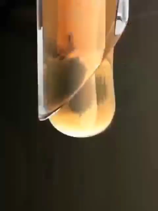 Ginger Shampoo Shampoo Rambut Gugur Hair Growth Shampoo 300ml Dandruff Hair Fall