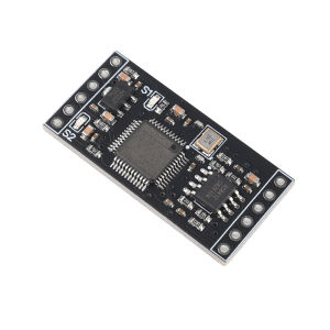 diymore | DC 5–12V RC Model Receiver PWM Signal to 0–5V Analog Voltage Conversion: Dual-Channel High-Speed DAC Receivers
