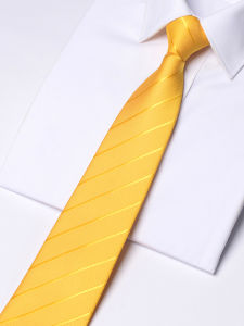 Romguest | Gold Striped Easy Wear Zipper Tie