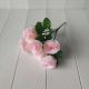 ABSIFLORIST