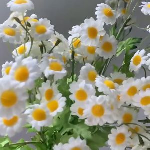Hoa Cúc Họa Mi Đẹp Như Thật Siêu Dễ Thương Trang Trí Nhà Cửa Hoa Daisy Giả Đẹp Đạo Cụ Chụp Ảnh Decor Nhà Hàng Sự Kiện