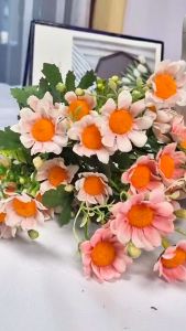 Bunga Chamomile Artificial X5: Bunga Palsu Hias Mini Untuk Bouquet (NK-01)