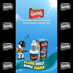 Gurah Probiotik Burung Serak Burung Macet Bunyi Mabung Pilek