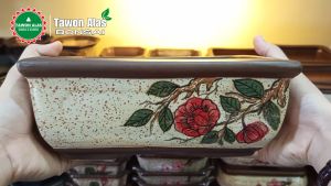 Pot Bonsai Keramik Segi Empat: Desain & Kualitas