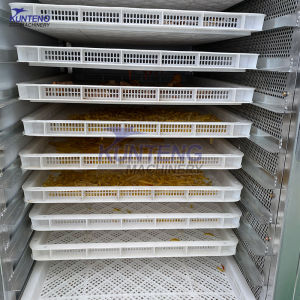 French fries potato chips potato cassava food dehydrator machine maize dryer drying equipment