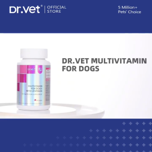 (Dr.Vet by PETKIT) Multivitamin For Dogs With Lentinan (200 Tablets)