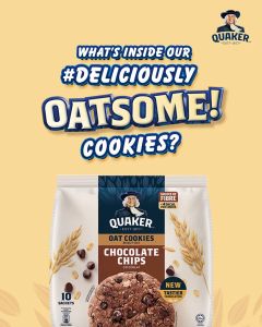 Quaker Oat Cookies Choco Chips/Honey Nuts/Raisins