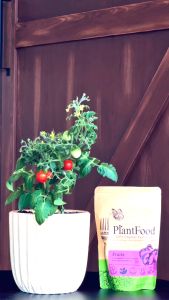 PlantFood Fruits 300g [100% Organic Fertiliser]