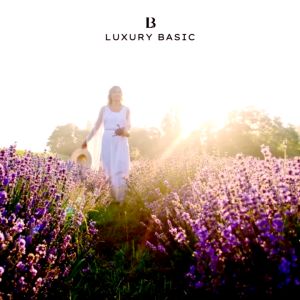 Bombshell by VS Inspired Scent Oil Based Perfume with Long-Lasting Fragrance for Women 85ml