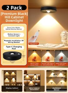 PAIMIJI | Remote Control Rechargeable Motion Sensor LED Spot Light