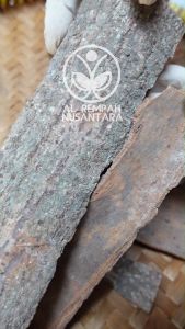 Kayu Kulit Sintok Kering 250 gr Asli Hutan