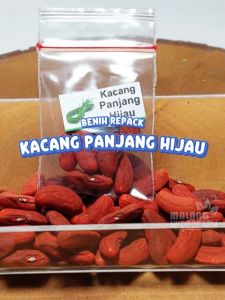 Benih Kacang Panjang Unggulan & Tanaman Sayur Hidroponik