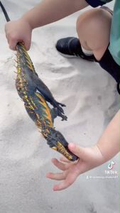 Mô Hình Đồ Chơi Khủng Long Indominus Rex lửa - Quà tặng đồ trưng bày cao cấp