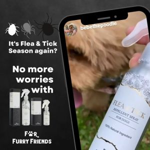 (For Furry Friends) Flea & Tick Repellent Spray (For Dogs Only)