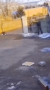 SKISOPGO Mini Ultrasonic Dog Repellent Double Head Dog Repeller Anti-barking Pet Chaser Trainer