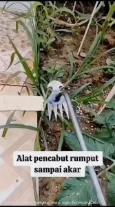 PENCABUT RUMPUT ALAT KEBUN ALAT BERKEBUN