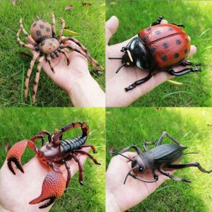 Mainan Edukasi Anak Hewan Binatang Serangga Figurin Insect Figure UKURAN BESAR Belalang Kumbang Laba2 Capung Kalajengking
