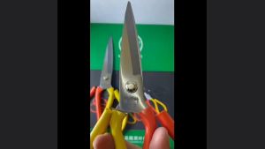 Kéo cắt gia dụng trong gia đình - Love pets shop