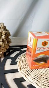 Kapsul KHUTUK penyembuh luka