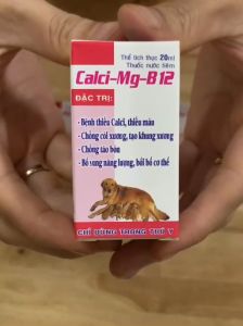 canxi magie b12 chống co giật sốt sữa còi xương bại liệt 20ml. Thú y Trường Thịnh