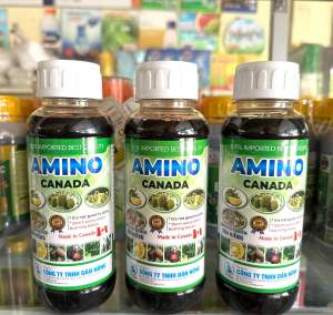 Phân Amino đậm đặc nhập từ Canada (chai 500ml) lá to xanh dày bóng mướt giúp phát đọt bật chồi cực mạnh ra rễ cực nhanh mát bông mát trái nở gai lớn trái xanh trái giải độc pacloa