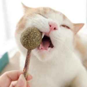 SOAR Catnip balls can clean the mouth and keep the air fresh. Let cats entertain themselves and relieve boredom.