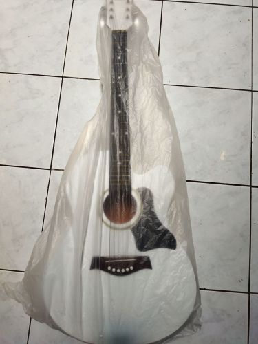 Ciri-Ciri Gitar Alegro Original vs Palsu: Cara Memastikan Keaslian