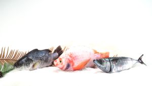 หมอน ตุ๊กตาของเล่นแมว ราคาถูก ตุ๊กตาปลาของเล่นสัตว์เลี้ยง พร้อมส่งทุกลาย ผลิตจากใยคุณภาพดี