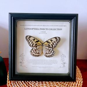 European Style Hollow Creative Large Size Display Frame