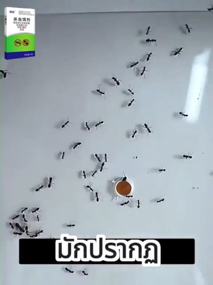 ได้ผล 100% ยาฆ่าแมลงในท่อระบายน้ำ 500ml น้ำยากำจัดแมลง สารกําจัดศัตรูพืชท่อระบายน้ํา กําจัดแมลงสาบ ที่ดับกลิ่นห้องน้ํา