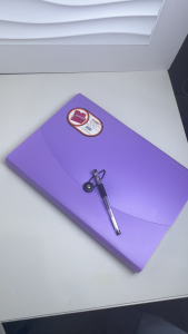 Purple Expanding File Folder Long Paper Organizer Document Storage Bag with Button 13 Pockets File Organizer