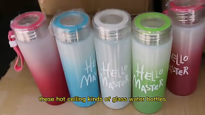 Bình nước thủy tinh B28 Hello Master dung tích 420ml (giao màu ngẫu nhiên) TTNTB28