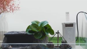 Lọc thác/ Lọc tràn/ Lọc đứng cho hồ/ bể nuôi Rùa cảnh Cá cảnh