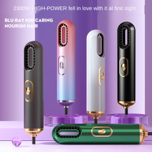Negative Ionic Electric Hot Air Dryer Blow Dryer Fast Drying Curling Hair Dryer Home Travel Hairdryer Salon Tool