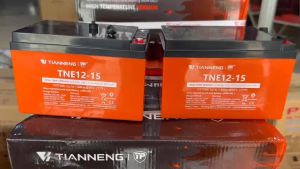 Bộ 4 bình ắc quy xe đạp điện Tianneng 48V-15AH/ Ắc quy Thiên Năng hàng chất lượng nổi tiếng Trung Quốc