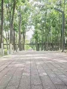 TOSUOD | Chân Chống Xe Đạp Có Thể Điều Chỉnh TOSUOD Dành Cho Xe Đạp Địa Hình Và Xe Đạp Đường Trường - Chân Chống Bên Hông Xe Giá Đỡ Đỗ Xe Đạp Phụ Kiện